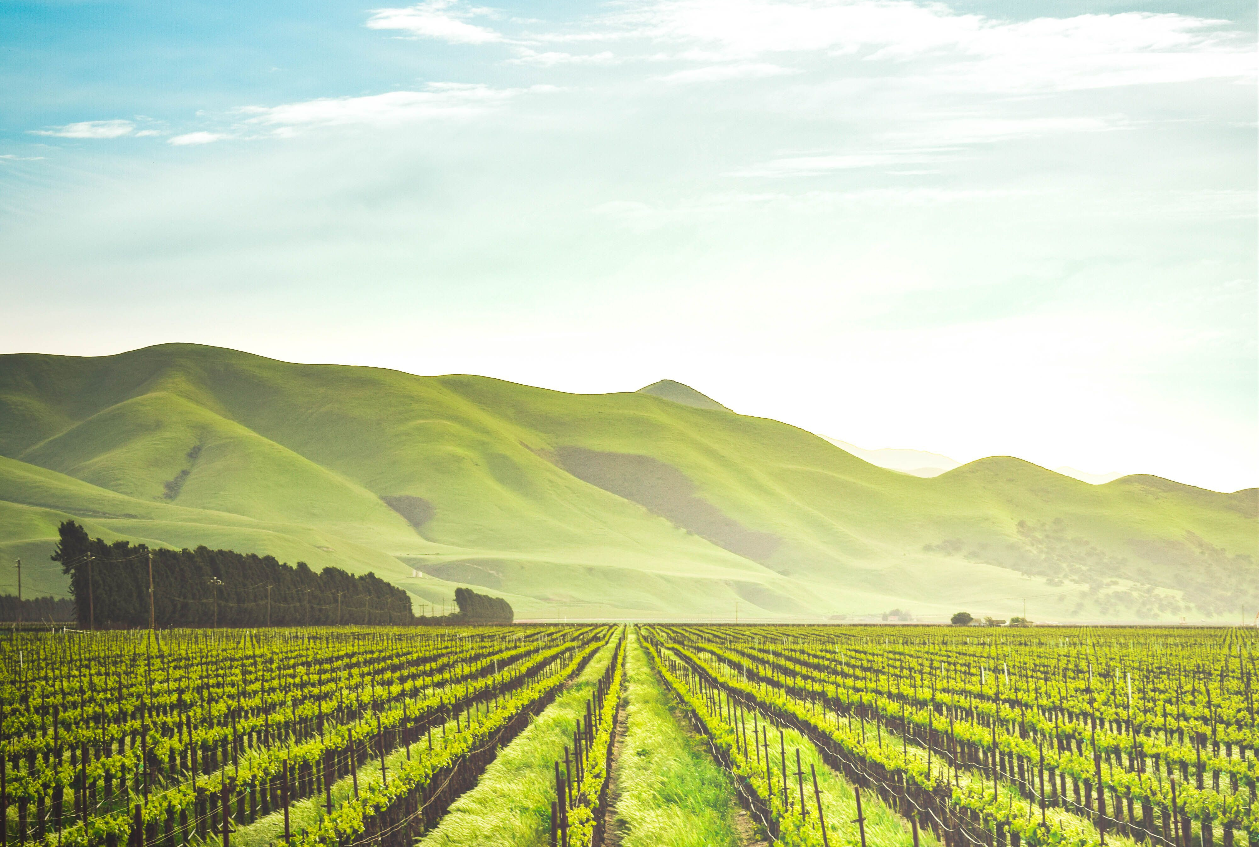 Odoo – Beispiel 3 für drei Spalten