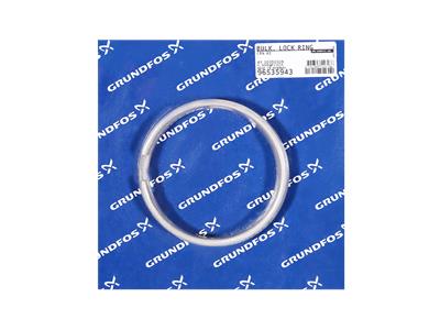 Grundfos GARDE, JOINT DE SÉCURITÉ D6XD115 grande quantité 96535943