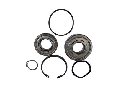 Grundfos kit, ball bearing DGBB_6305.SYN / DGBB_6205.SYN kit 96279794