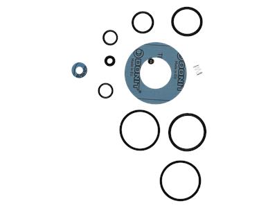 Grundfos kit, maintenance 545/FKM/PTFE/DN8 kit 96688796