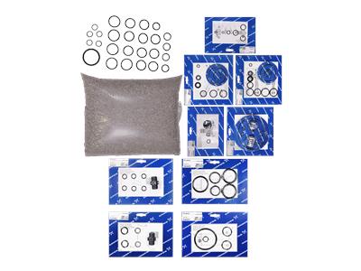 Grundfos kit, entretien ClO2/166/2500g/h/FKM/DN8 kit 96688798