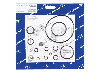 Grundfos Kit, entretien Cl2/111/FKM/TFM1700/vac. compl. Kit 91835972