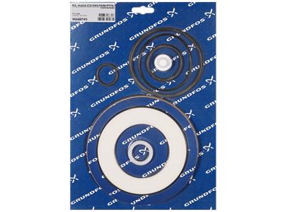 Grundfos kit, maintenance Cl2/545/FKM/PTFE/120kg/h kit 96688745