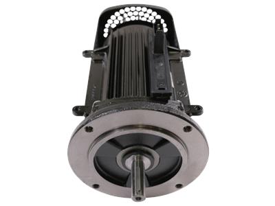 Grundfos kit MGE90SC/MLE90C 430/460-2 1,5kW/2HP component 99259927