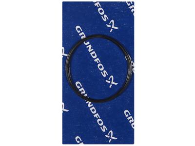 Grundfos O-RING 65X3 component 97904663