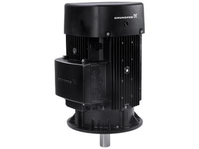Recambio Grundfos, motor 380-415D/660-690Y 50HZ componente 85904596